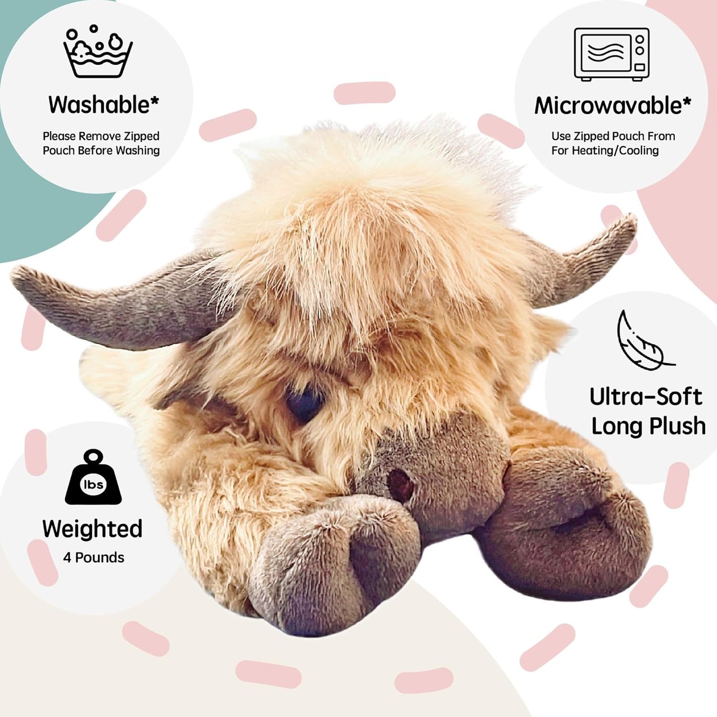 Highland Cow Buddy
